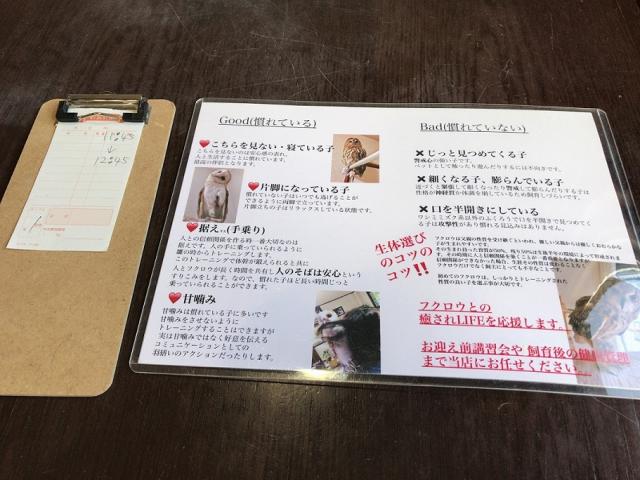 ふくろうのいる森カフェ中津川本店への瀬戸の人さんのレビュー写真
