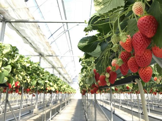 廿原ええのおへの瀬戸の人さんのレビュー写真