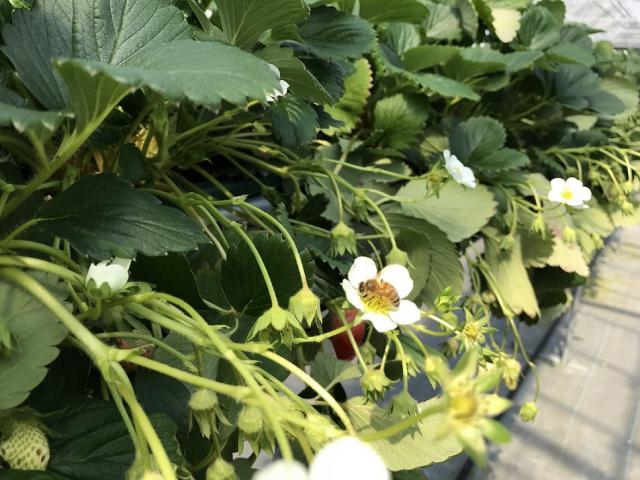 廿原ええのおへの瀬戸の人さんのレビュー写真