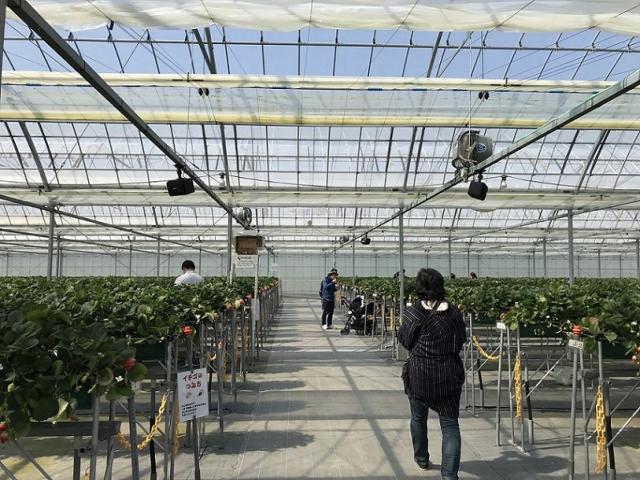 廿原ええのおへの瀬戸の人さんのレビュー写真