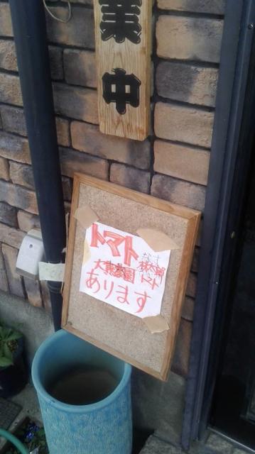 樹樹へのポニョさんのレビュー写真