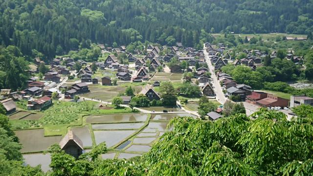 城山天守閣展望台(白川郷)へのヨゼさんのレビュー写真