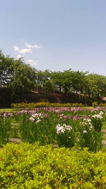 ばら公園いこいの広場へのポニョさんのレビュー写真