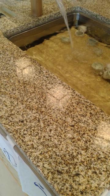 金蝶園総本家 イオンタウン本巣店へのポニョさんのレビュー写真