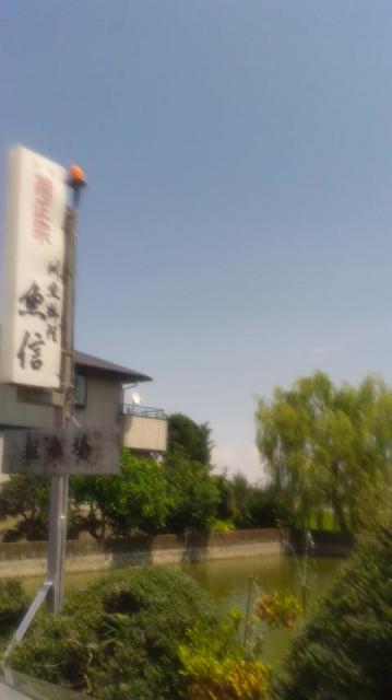 魚信へのポニョさんのレビュー写真