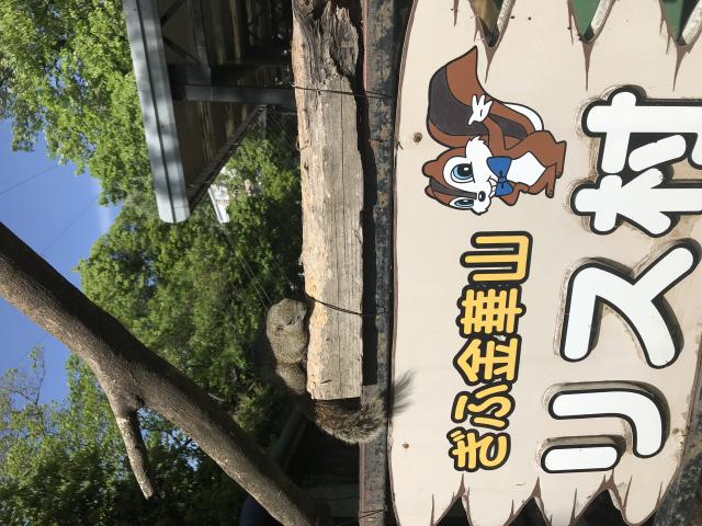 金華山リス村へのまなみさんのレビュー写真