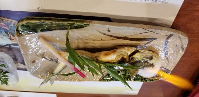 うおそうのレポート写真2（アンタレス）