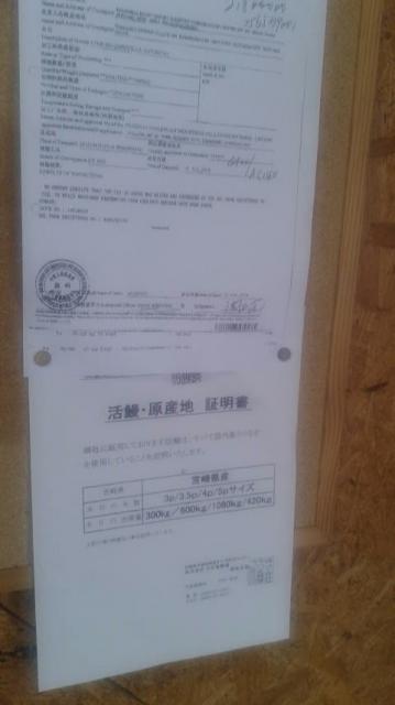 阡家へのポニョさんのレビュー写真