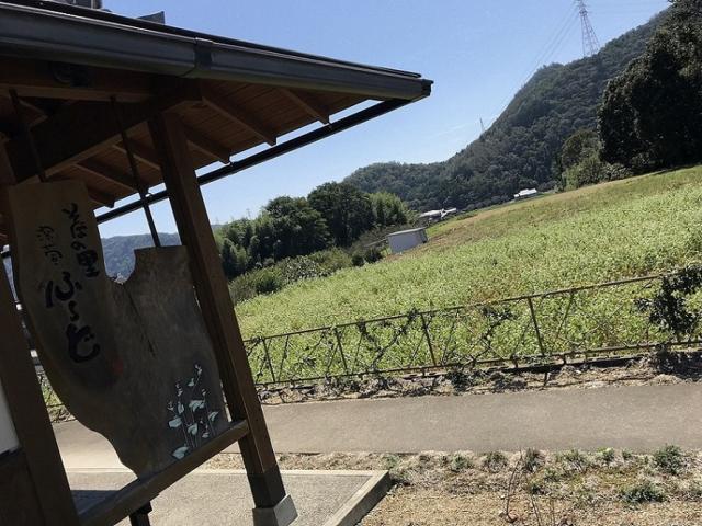 そばの里深萱ふーどのレポート写真4（瀬戸の人）