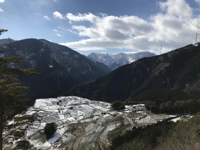 天空の茶畑へのまなみさんのレビュー写真