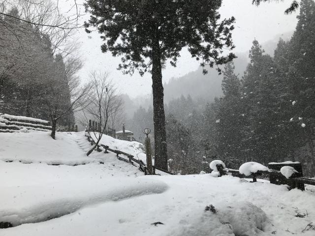 夫婦滝へのまなみさんのレビュー写真