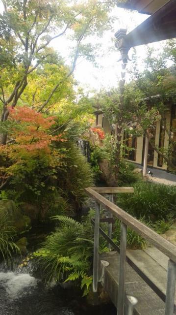 梅の花 岐阜店へのポニョさんのレビュー写真