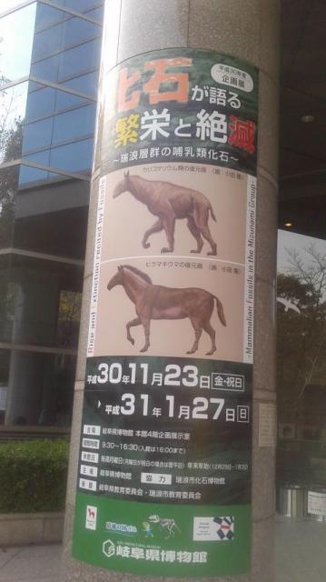 岐阜県博物館へのポニョさんのレビュー写真