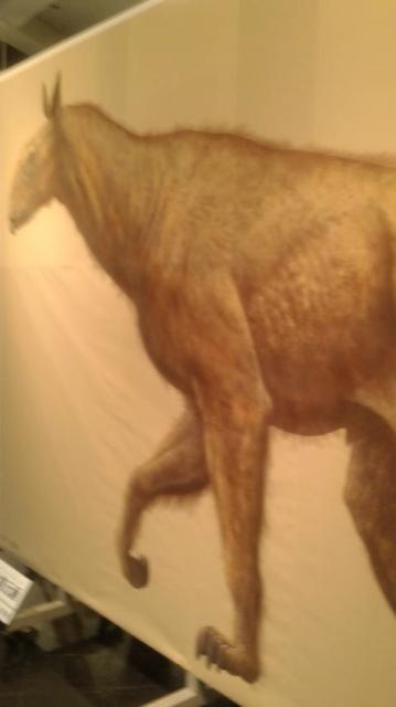 岐阜県博物館へのポニョさんのレビュー写真