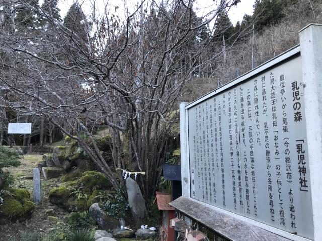 乳児の森公園へのまなみさんのレビュー写真