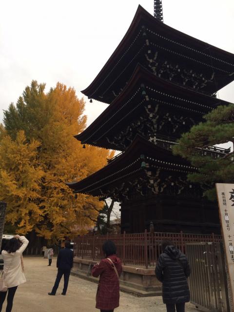 飛騨国分寺へのまなみさんのレビュー写真