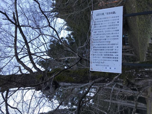 乳児の森公園へのまなみさんのレビュー写真