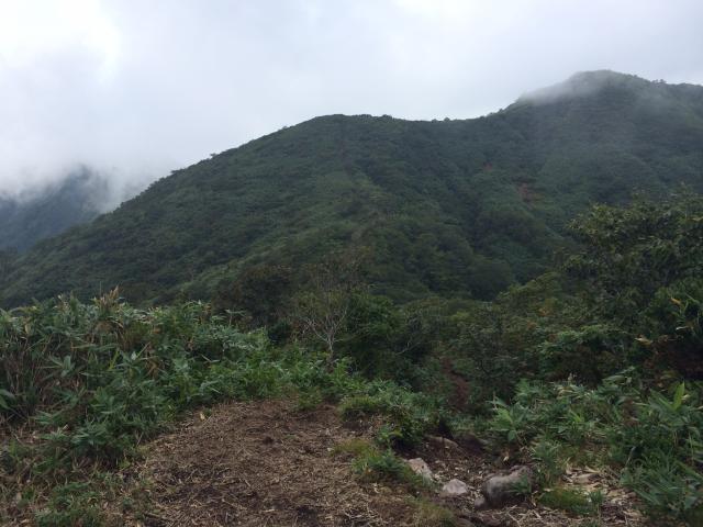 大日ヶ岳へのまなみさんのレビュー写真