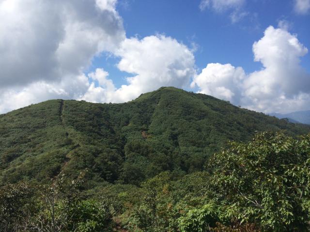 大日ヶ岳へのまなみさんのレビュー写真