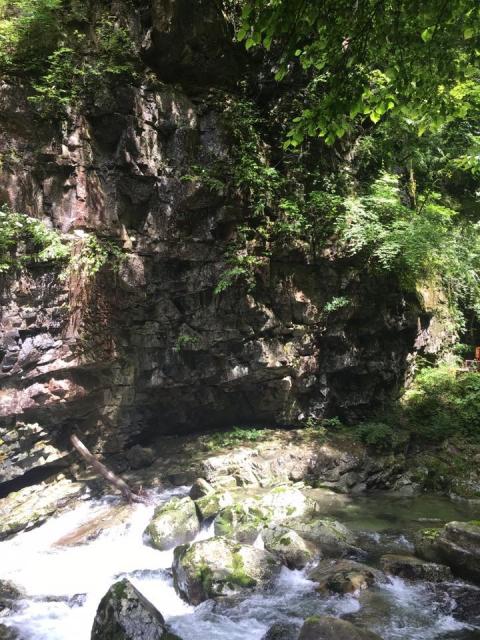 巌立峡への岐阜の食いしん坊担当さんのレビュー写真