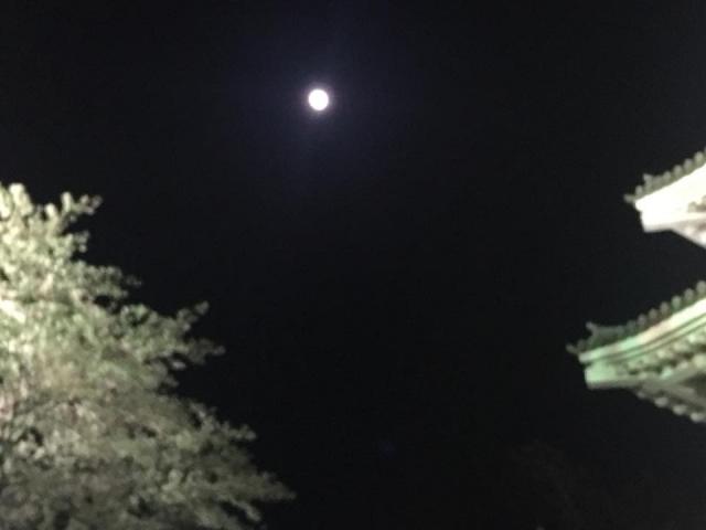 墨俣城への岐阜の食いしん坊担当さんのレビュー写真