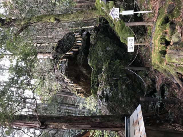 戸隠神社へのまなみさんのレビュー写真