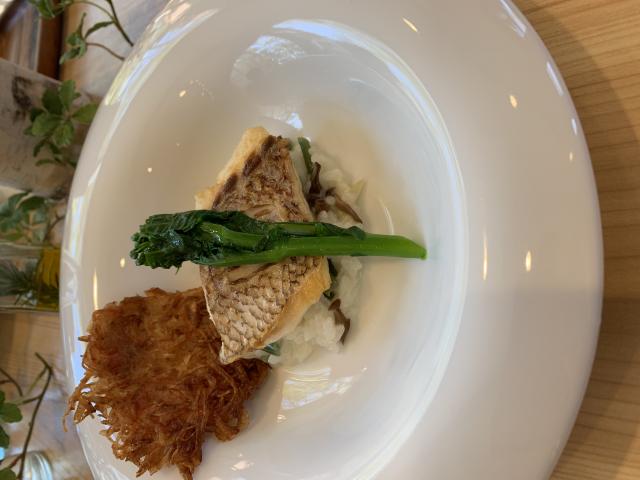 Sakura Tableへのポニョさんのレビュー写真