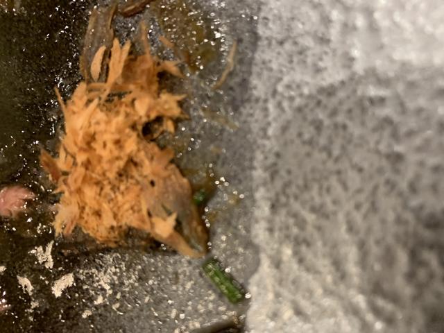 EXEX SUITESへのポニョさんのレビュー写真