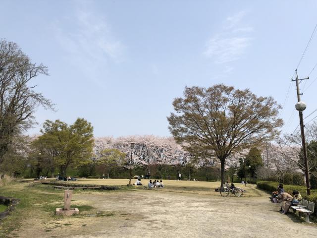 曽根城公園へのにしこさんのレビュー写真