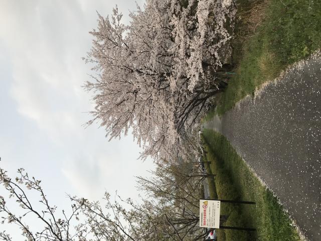 岐阜大学医学部附属病院へのまなみさんのレビュー写真