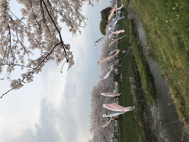 板屋川へのまなみさんのレビュー写真