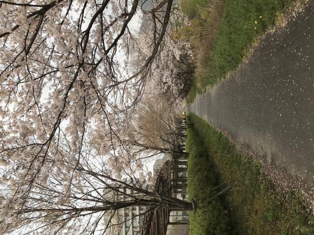 岐阜大学医学部附属病院へのまなみさんのレビュー写真