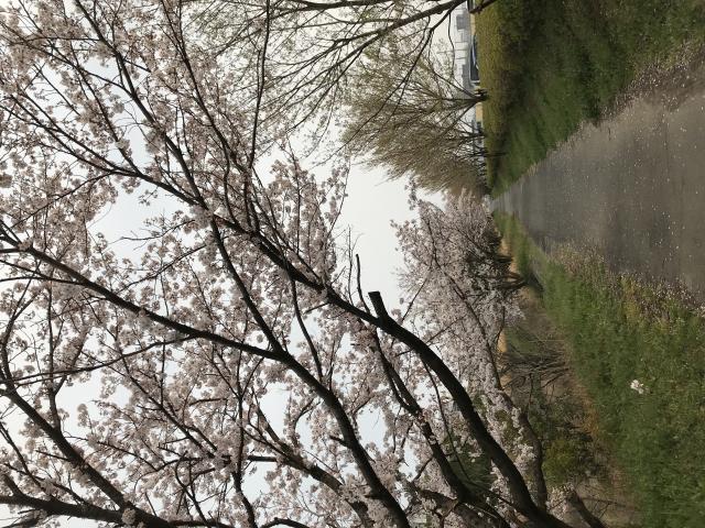 岐阜大学医学部附属病院へのまなみさんのレビュー写真