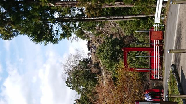 根尾谷淡墨桜へのヨゼさんのレビュー写真