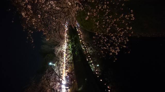 新境川のレポート写真4（ヨゼ）