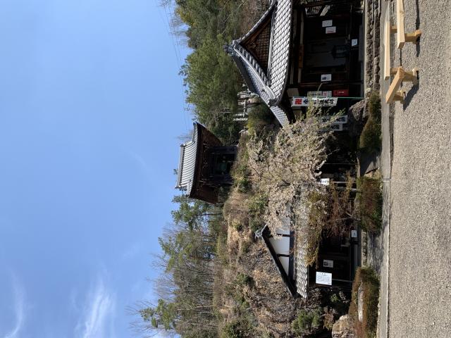 宗休寺(関善光寺) のレポート写真5（ポニョ）