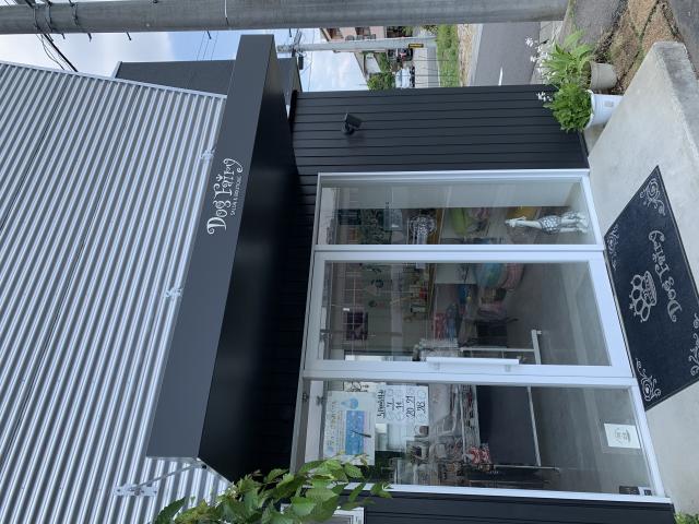 Dog Fairyへのポニョさんのレビュー写真