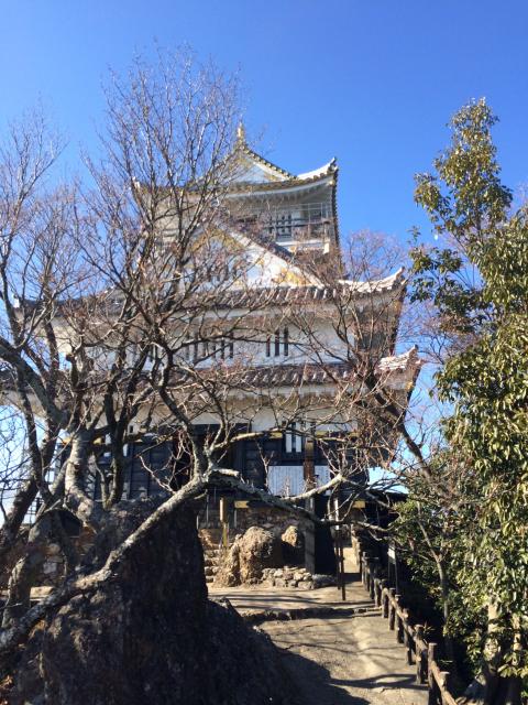 岐阜城へのまなみさんのレビュー写真