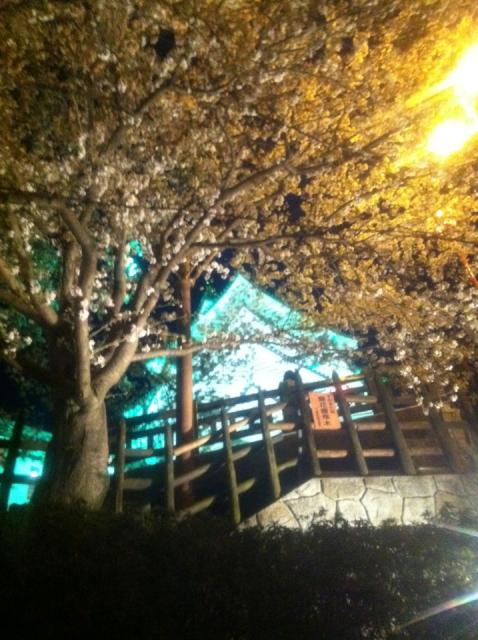 墨俣城へのまなみさんのレビュー写真