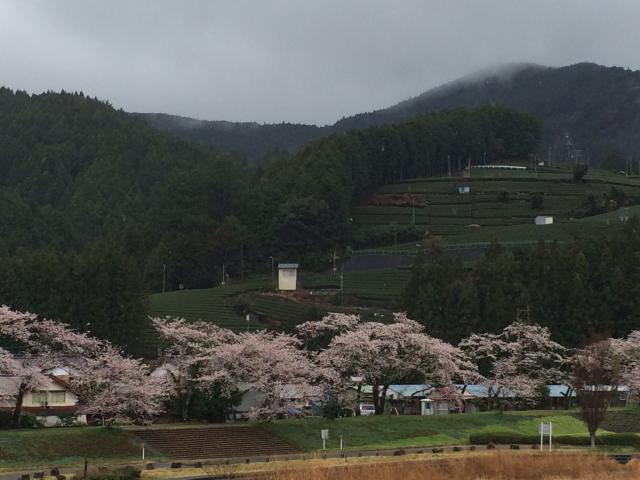 岐阜バスターミナル旅行センターへのまなみさんのレビュー写真