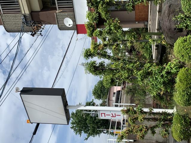 藤へのポニョさんのレビュー写真