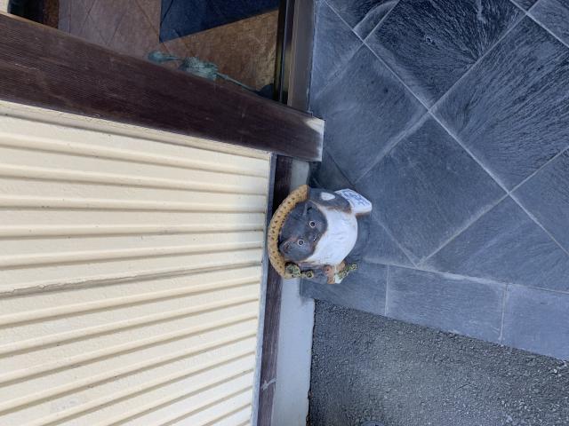 つるかめへのポニョさんのレビュー写真