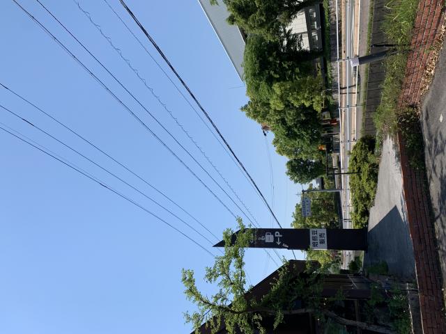 wahlen cafeへのポニョさんのレビュー写真