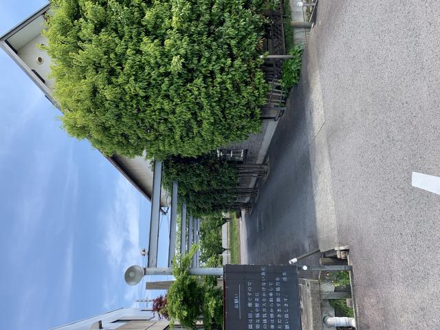 鼓童へのポニョさんのレビュー写真