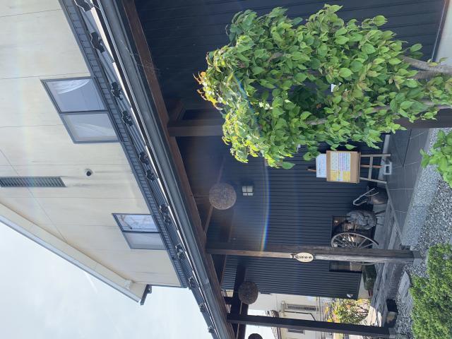 和風カフェ さくらへのポニョさんのレビュー写真