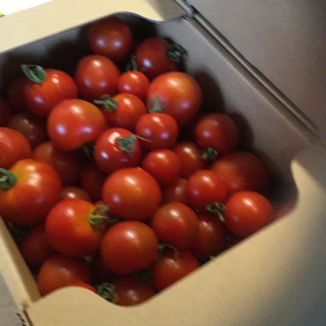 トマトの小林農園へのたくかずままさんのレビュー写真