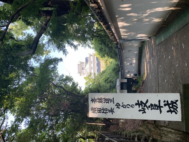 岐阜城へのポニョさんのレビュー写真