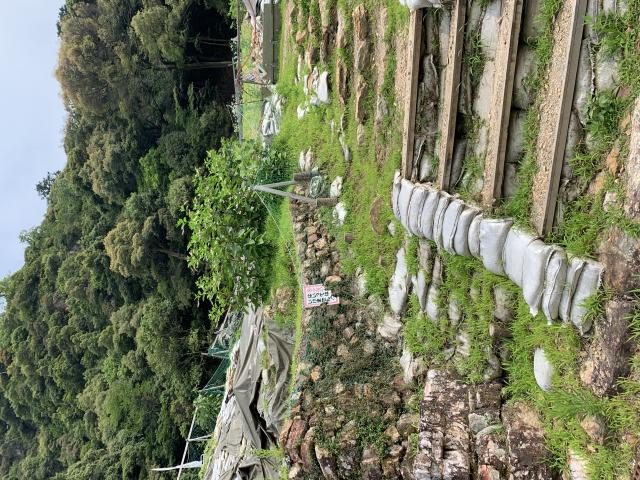 信長公居館跡へのポニョさんのレビュー写真