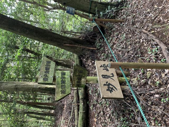 東坂ハイキングコースへのポニョさんのレビュー写真