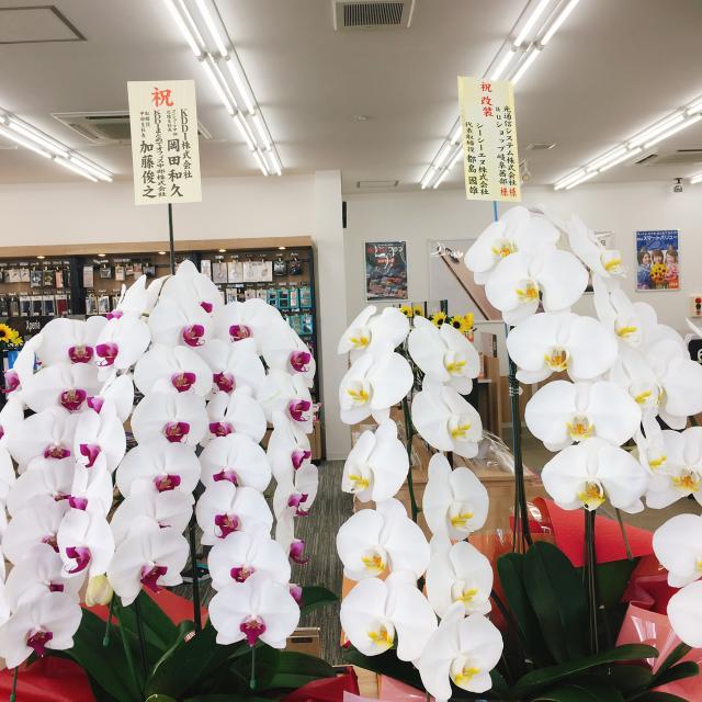 auショップ岐阜茜部への岐阜の食いしん坊担当さんのレビュー写真